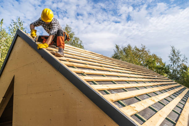 Roof Gutter Cleaning in Colfax, WA