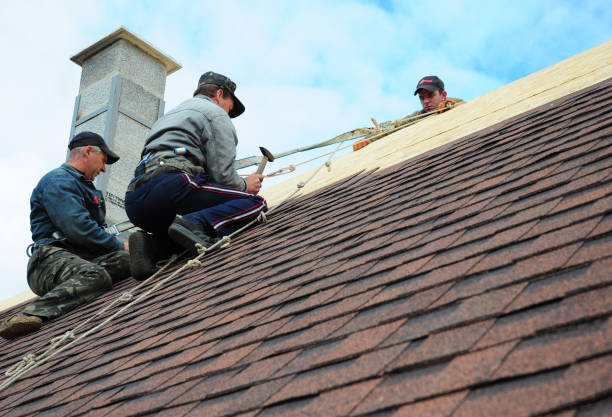 Best New Roof Installation  in Colfax, WA